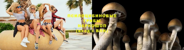 винт Армянск