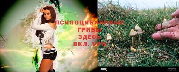 не бодяженный Аркадак