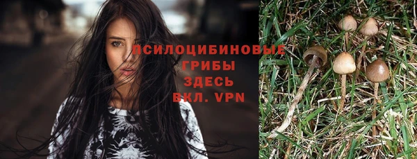 не бодяженный Аркадак