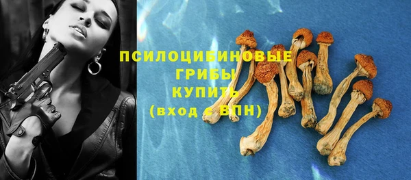 не бодяженный Аркадак
