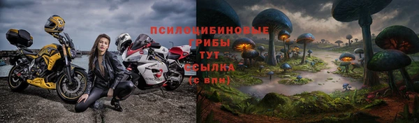 не бодяженный Аркадак