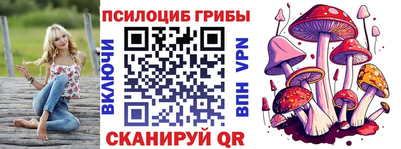 Псилоцибиновые грибы прущие грибы  МЕГА ссылки  Севск 